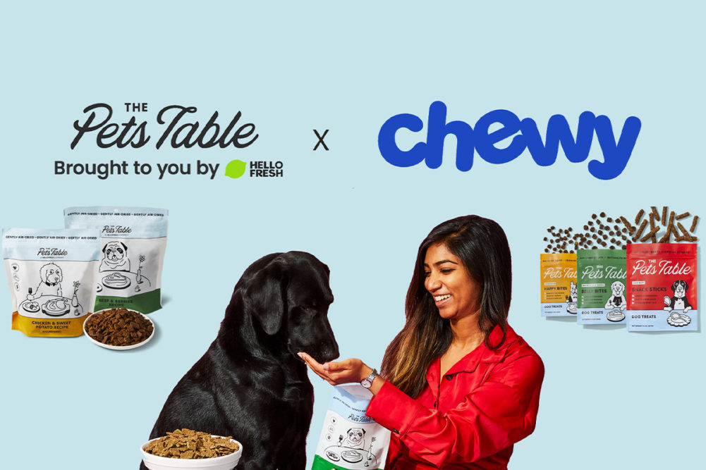 Chewy Dog Food